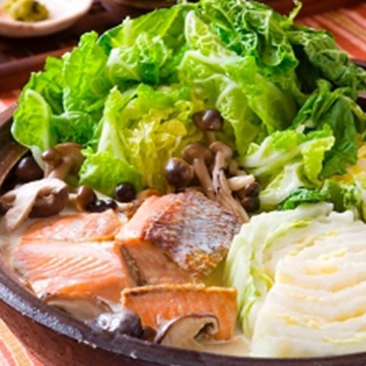 インパクト大! 鮭と白菜の豆乳鍋